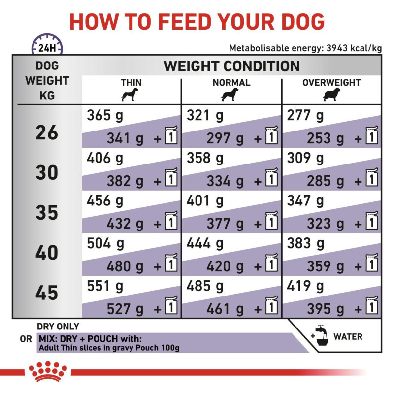 vhn-dog-adult-large-6